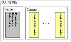 Logical view of a PA-AF file