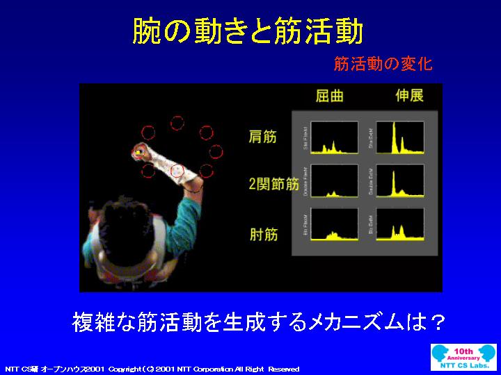 slide 04