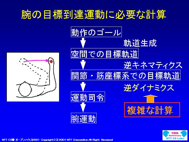 slide 05