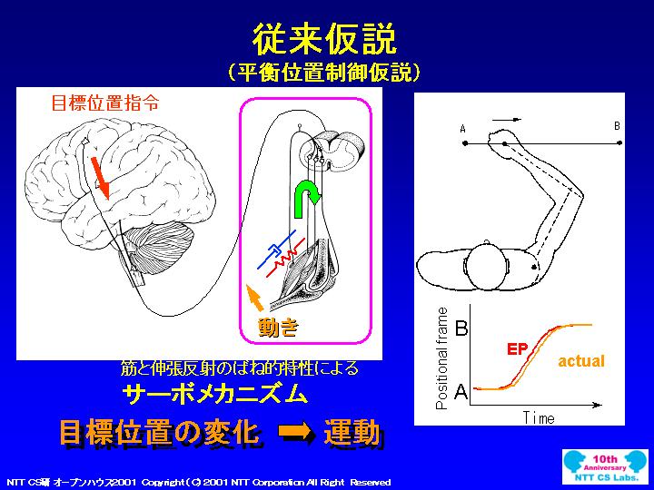 slide 06