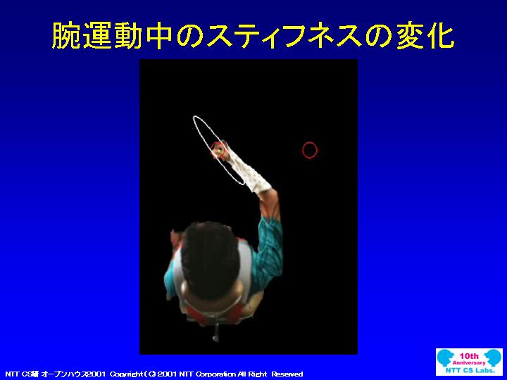 slide 10