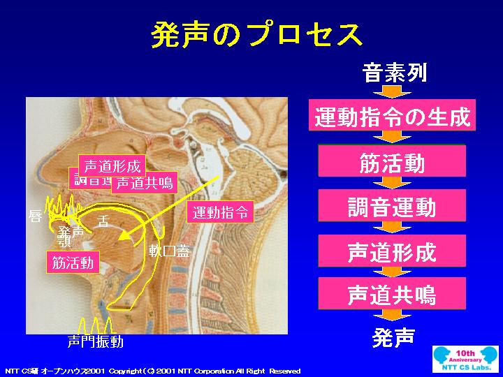 slide 17