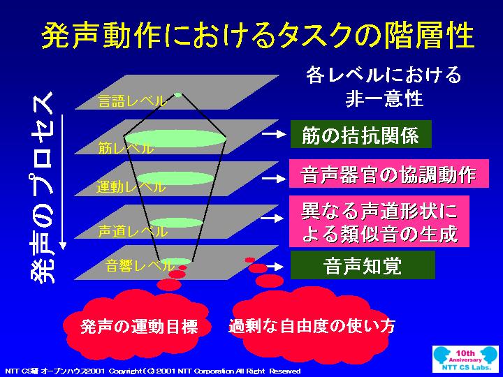 slide 19
