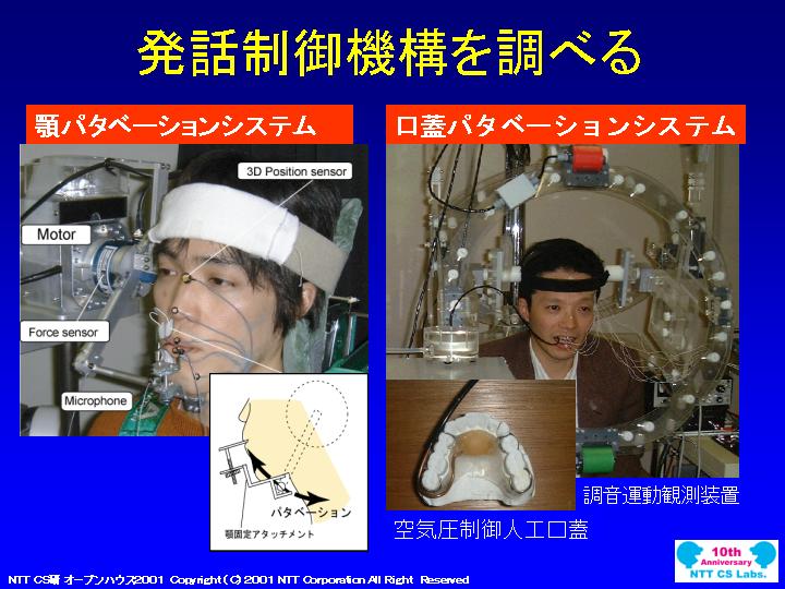 slide 21