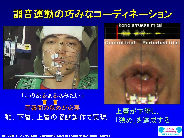 slide 23