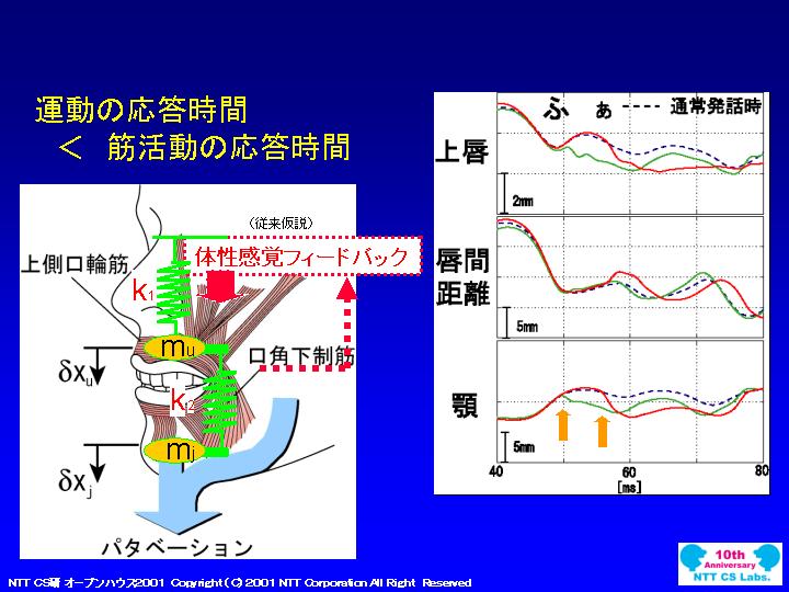 slide 24