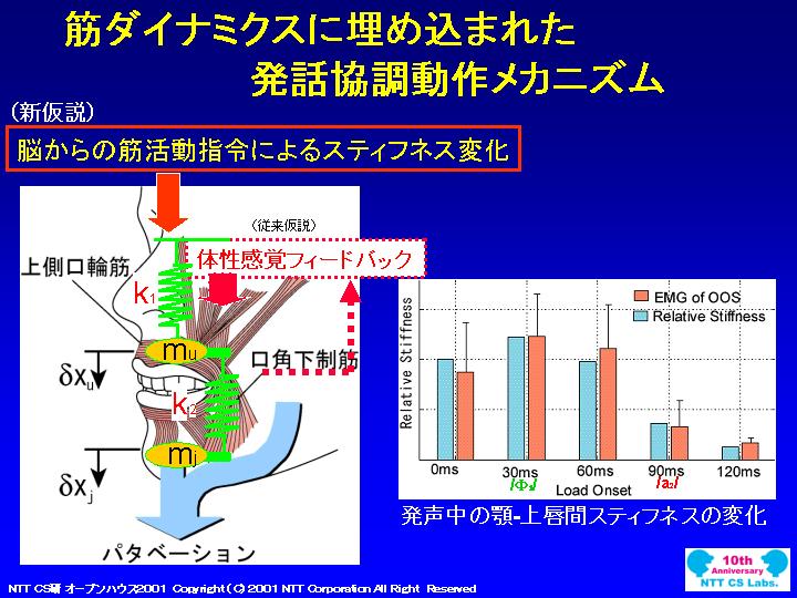slide 25