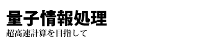 量子情報処理　-超高速計算を目指して-