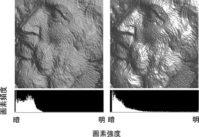 見どころ その2 「視覚の新しい見方」