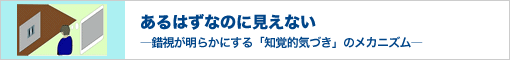 あるはずなのに見えない―錯視が明らかにする「知覚的気づき」のメカニズム―