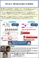 声を出す聞く脳の仕組みの相補性