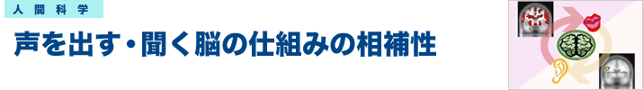 声を出す聞く脳の仕組みの相補性