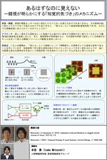 あるはずなのに見えない―錯視が明らかにする「知覚的気づき」のメカニズム―