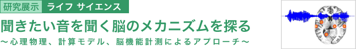 聞きたい音を聞く脳のメカニズムを探る　～心理物理、計算モデル、脳機能計測によるアプローチ～