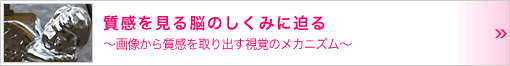 質感を見る脳のしくみに迫る