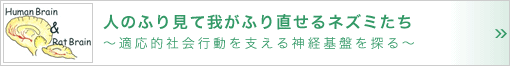 人のふり見て我がふり直せるネズミたち