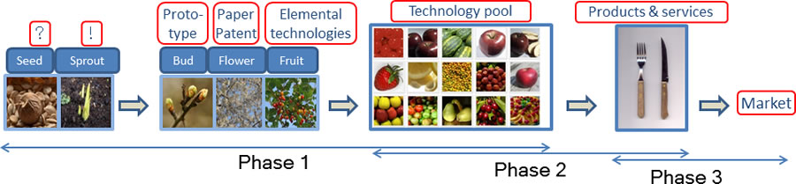 Figure 1: Basic research from seed to fruit