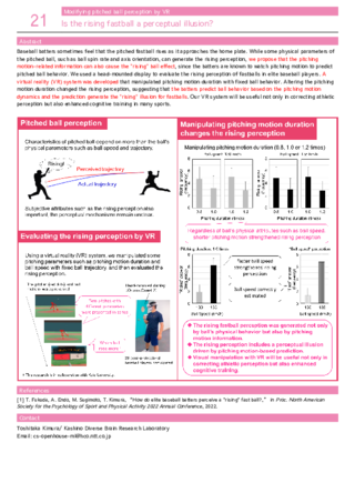 Is the rising fastball a perceptual illusion?