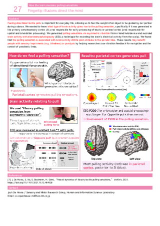 Fingertip illusions direct the mind