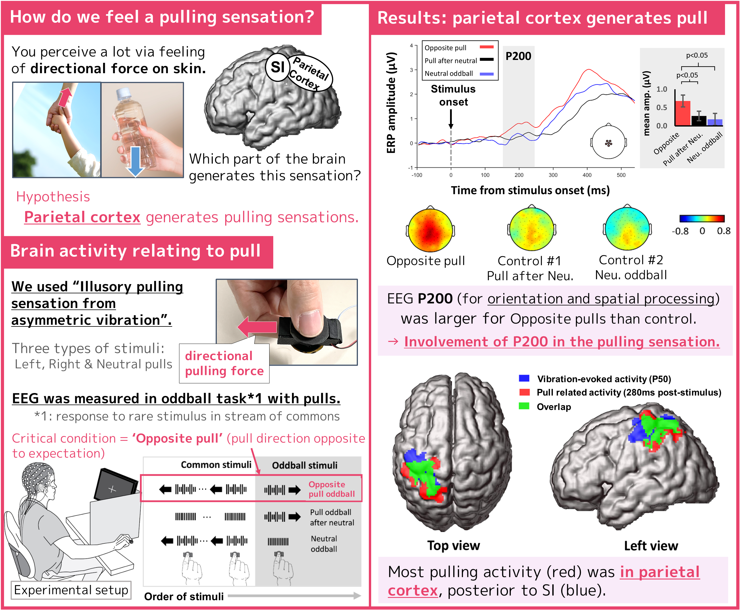 Fingertip illusions direct the mind