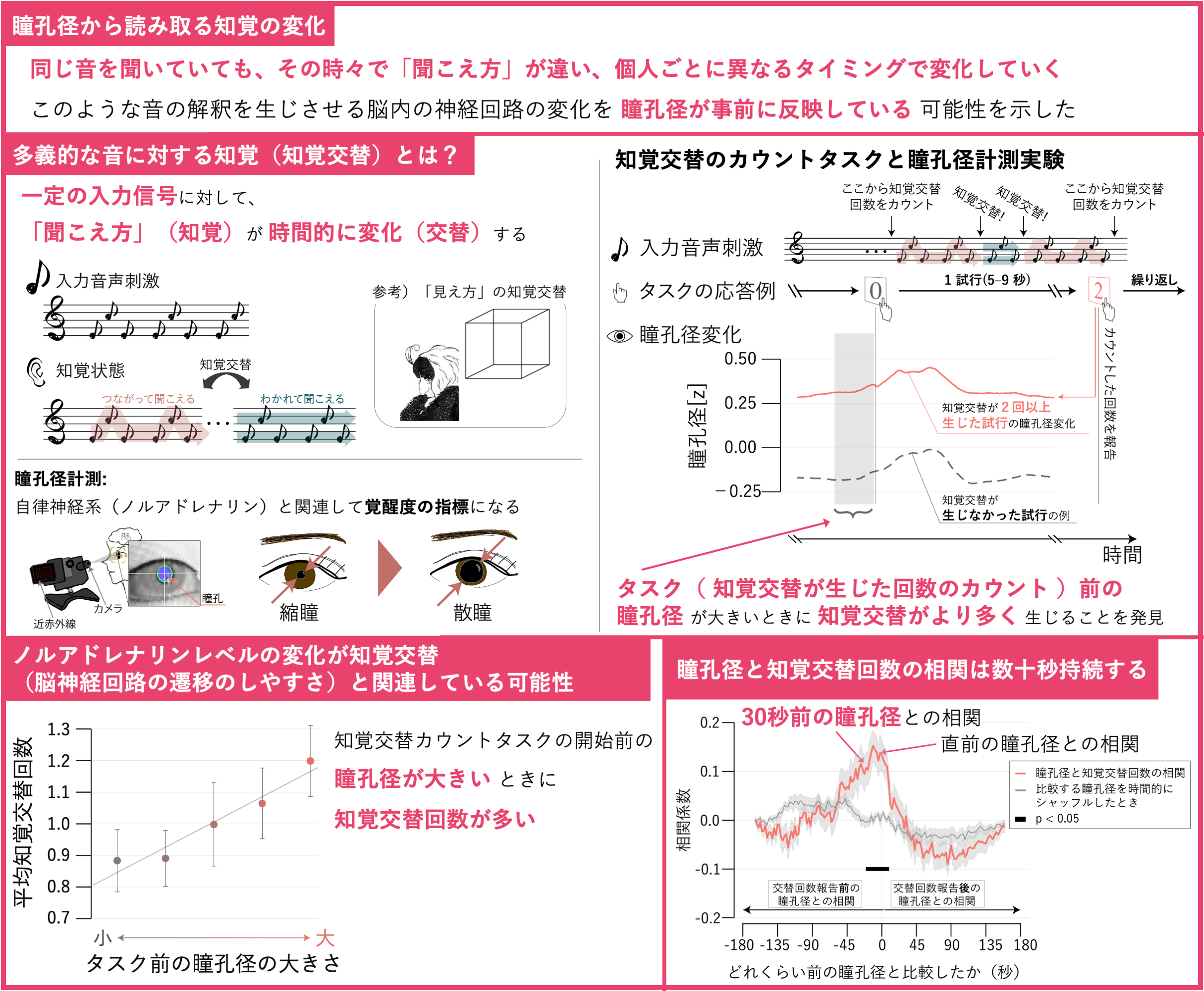 瞳が語るこころの状態