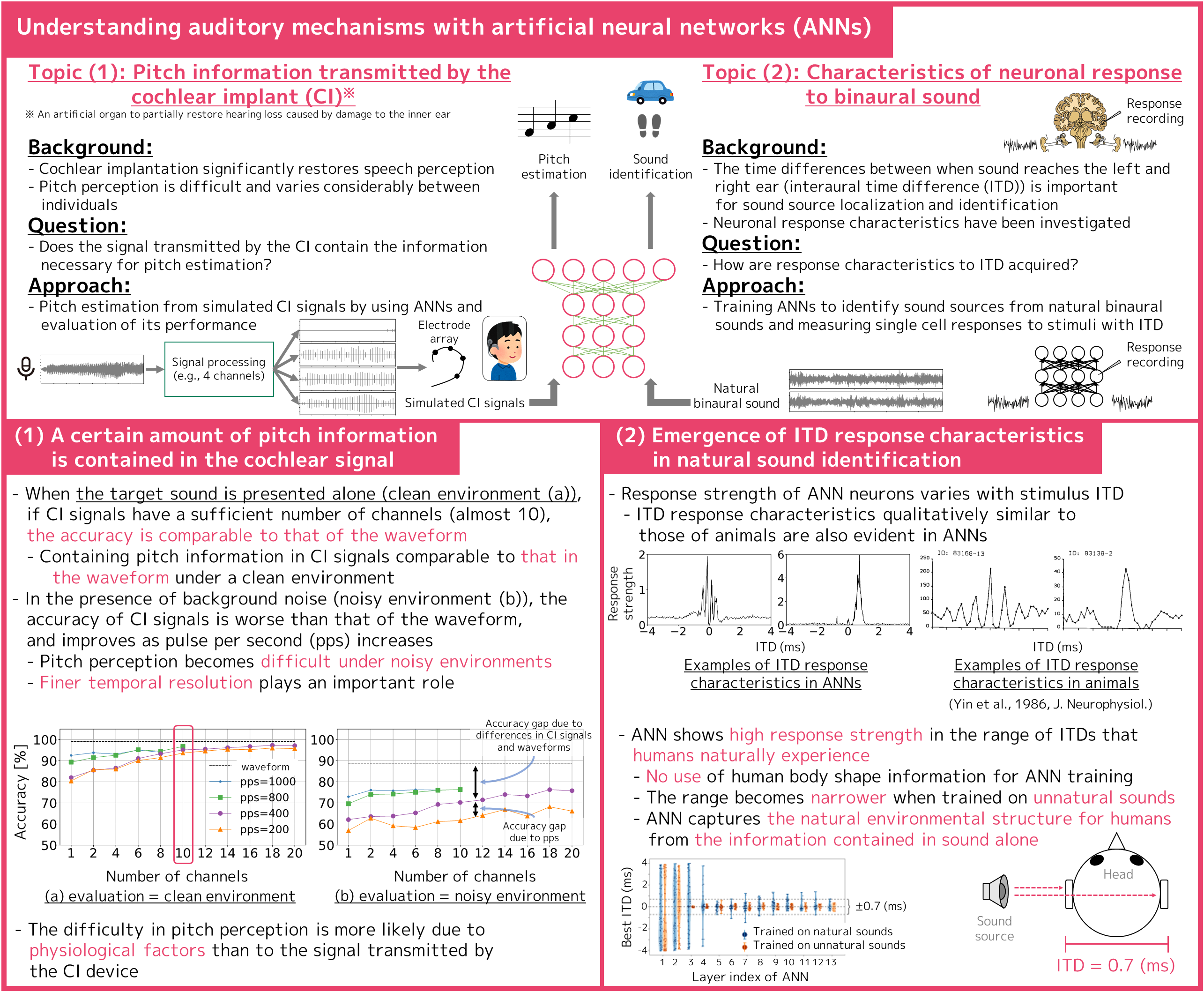 Unveiling the auditory system with a neural network