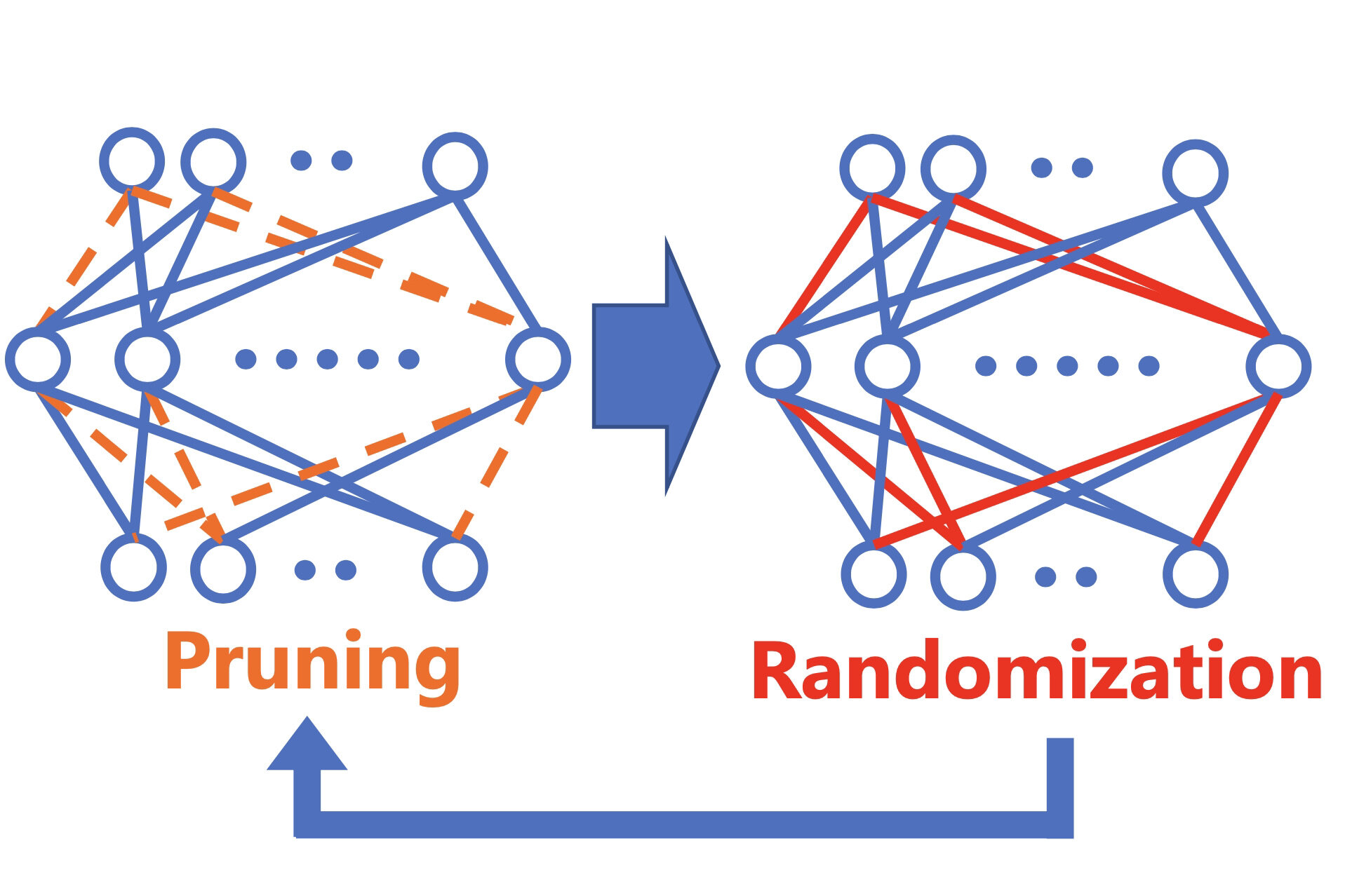 Training fast & lightweight neural networks