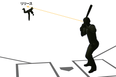 目でとらえる打撃の真髄