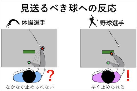 身体運動に宿る“選球眼”