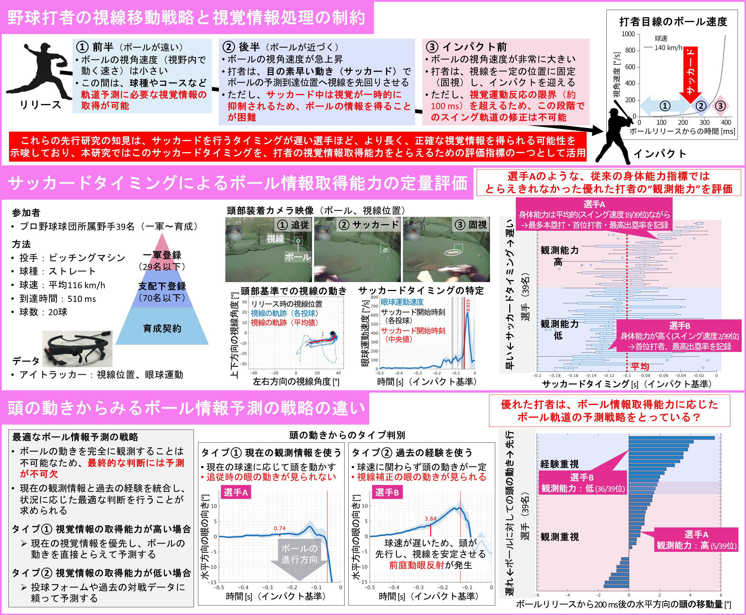 目でとらえる打撃の真髄