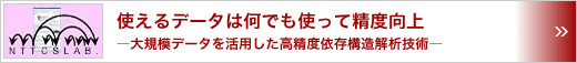 使えるデータは何でも使って精度向上　～大規模データを活用した高精度依存構造解析技術～