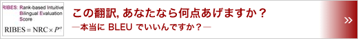 この翻訳，あなたなら何点あげますか？　～本当に BLEU でいいんですか？～