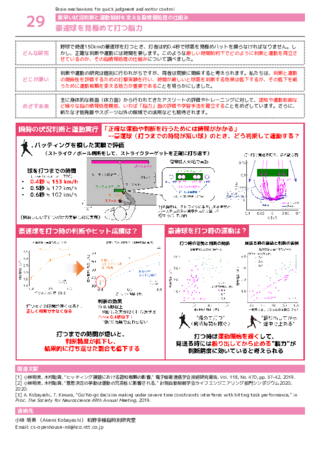 豪速球を見極めて打つ脳力