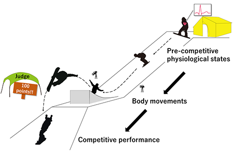 Precompetitive physiological states determine the game