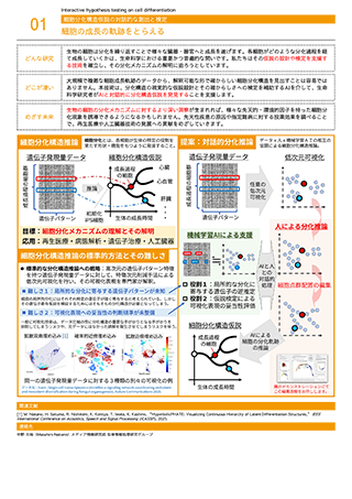 細胞の成長の軌跡をとらえる