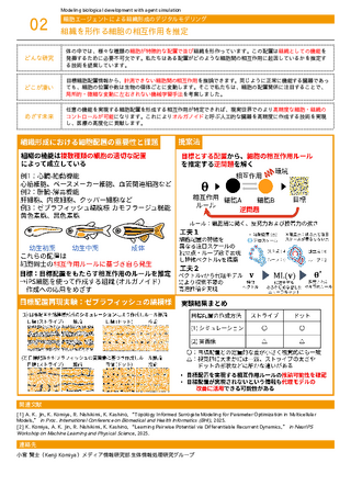 組織を形作る細胞の相互作用を推定