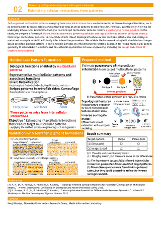 Estimating cellular interactions from patterns