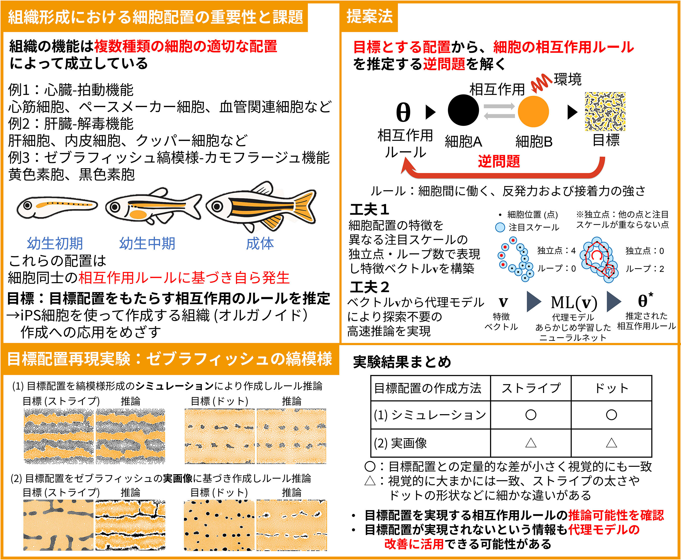 組織を形作る細胞の相互作用を推定