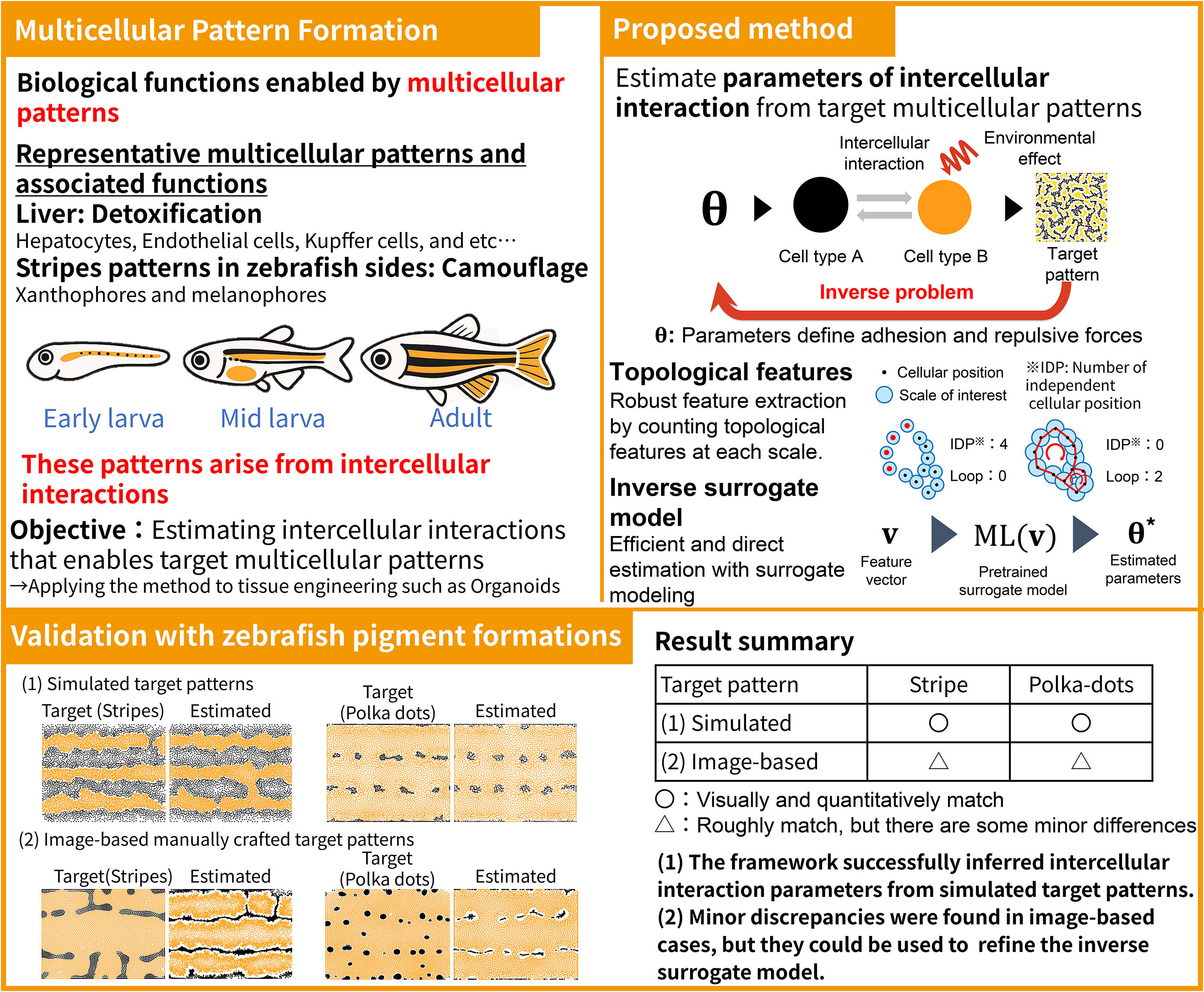 Estimating cellular interactions from patterns