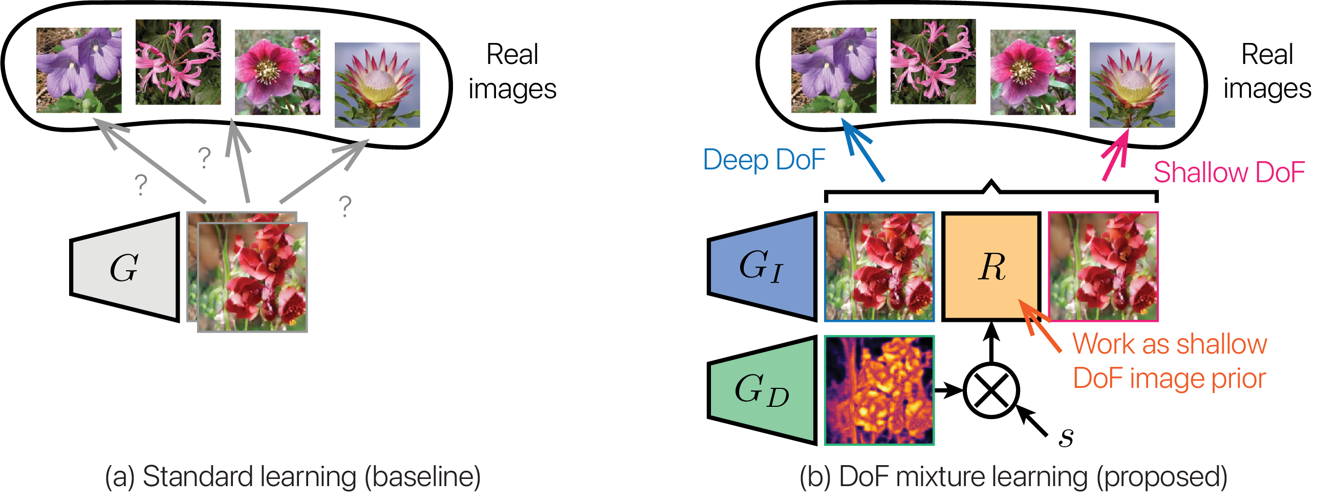 Comparison of standard and DoF mixture learning