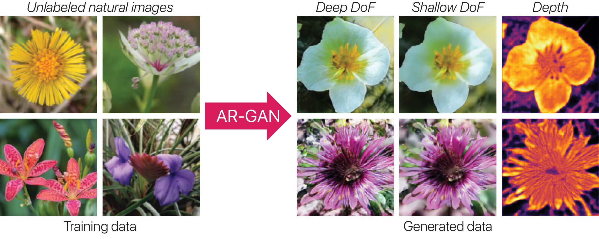 Unsupervised learning of depth and DoF effect from unlabeled natural images