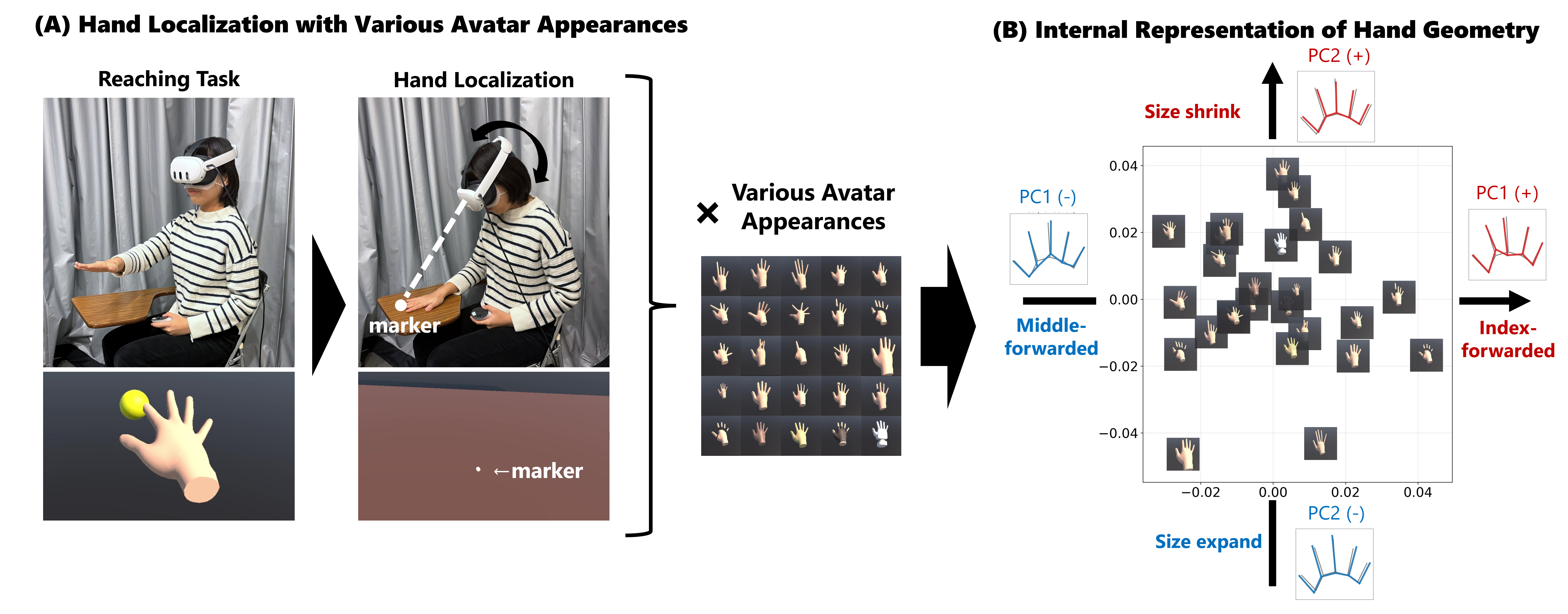 Teaser image for How Avatar Appearance Reshapes Internal Representation of Hand Geometry