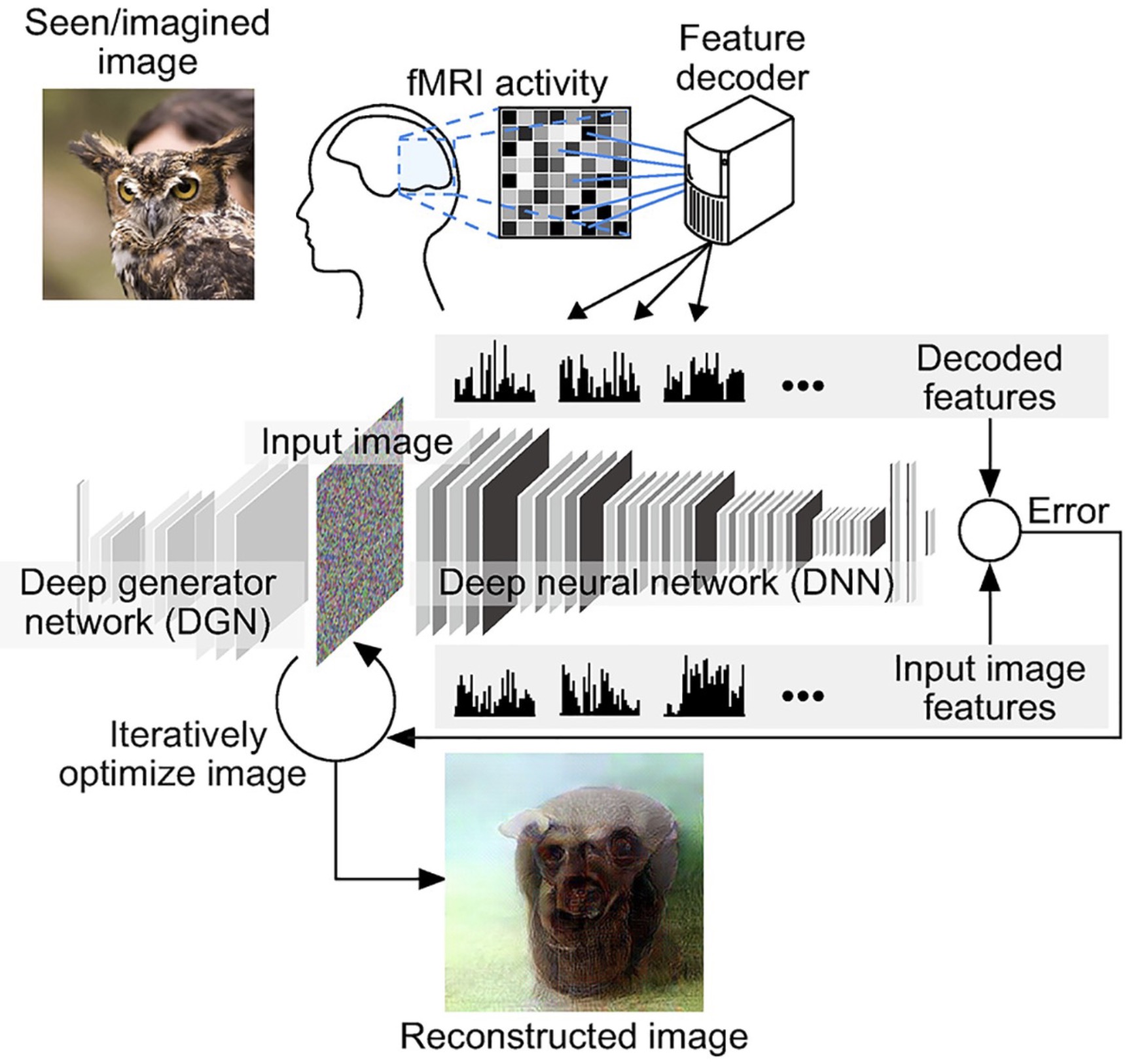 deep image reconstruction